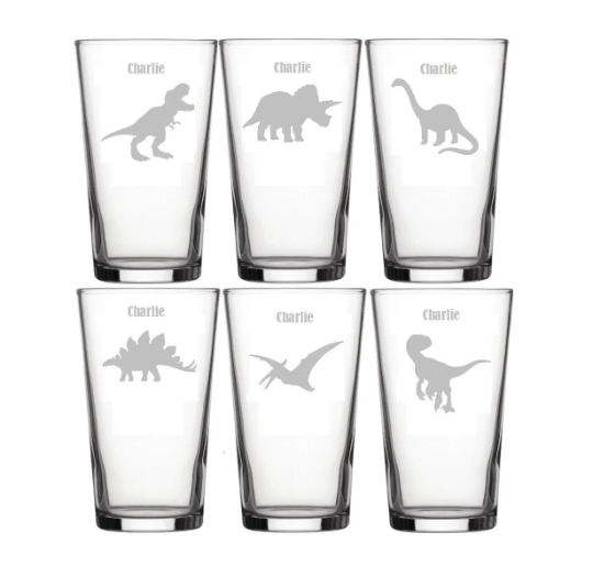 Set of 6 Dinosaur Pint Glasses, Engraved and fully personalised Dinosaur Glasses